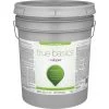 True Basics By Valspar Satin Exterior Paint, 5 Gal., Clear Base -Valspar Online store ItemImage 776602 7t349jcr4bcgcfjjn5rqqhz