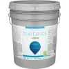 True Basics By Valspar Flat Interior Paint, 5 Gal., Clear Base -Valspar Online store ItemImage 780176 6c6vm36w5s8p7jr878hrrbp